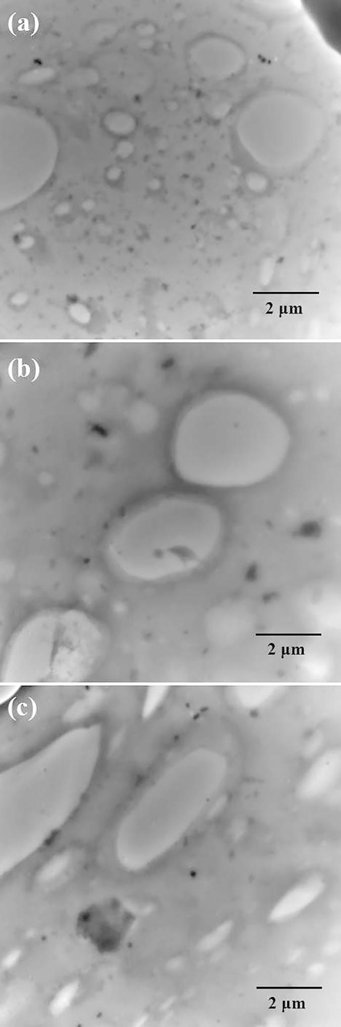 https://cdn.ncbi.nlm.nih.gov/pmc/blobs/4d98/4780003/0bed22c287a6/srep22810-f3.jpg