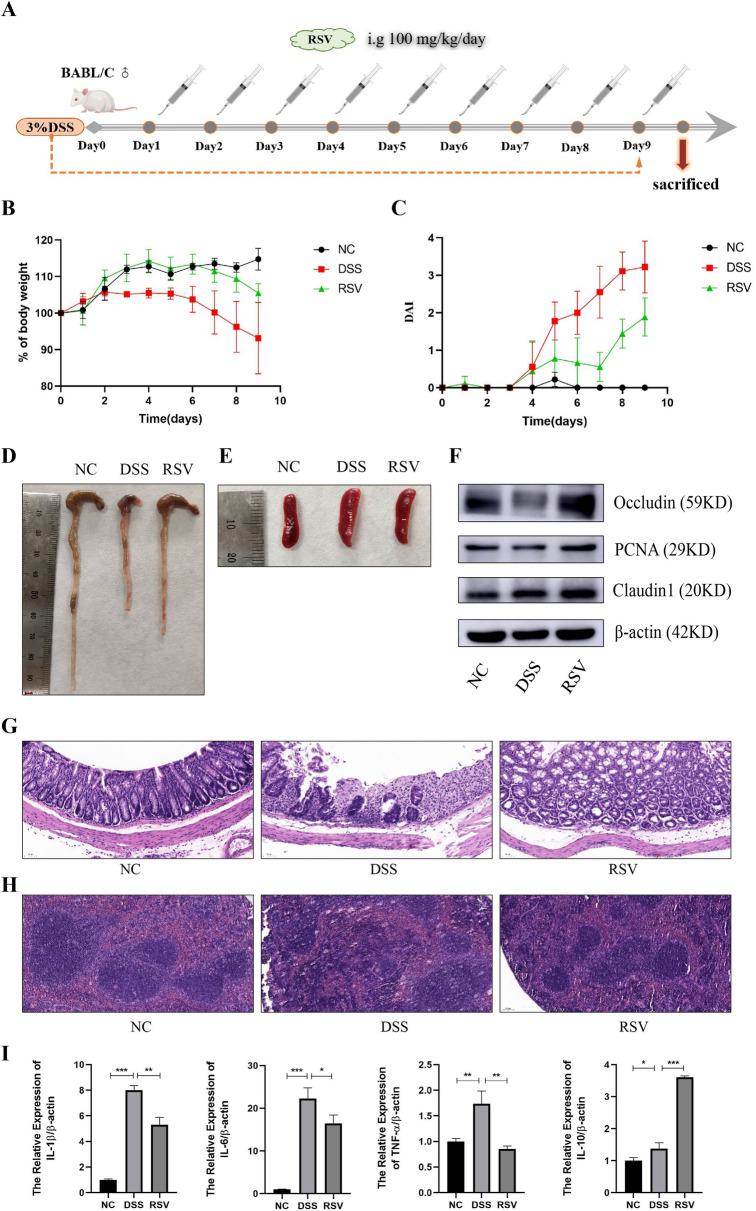 https://cdn.ncbi.nlm.nih.gov/pmc/blobs/4d9a/10474707/47d5d88d11c9/40001_2023_1257_Fig1_HTML.jpg