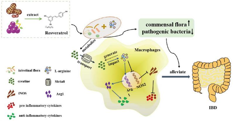 https://cdn.ncbi.nlm.nih.gov/pmc/blobs/4d9a/10474707/4e5fc512cea2/40001_2023_1257_Fig9_HTML.jpg