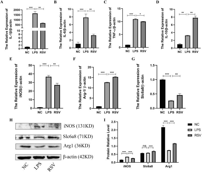 https://cdn.ncbi.nlm.nih.gov/pmc/blobs/4d9a/10474707/7468ba165a97/40001_2023_1257_Fig8_HTML.jpg