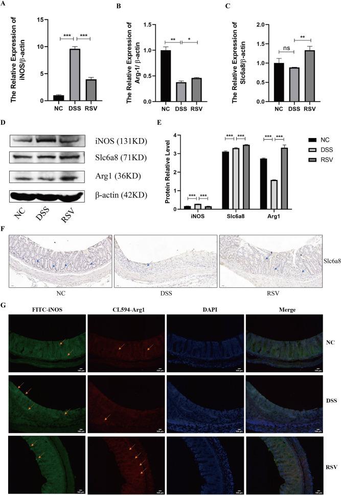 https://cdn.ncbi.nlm.nih.gov/pmc/blobs/4d9a/10474707/b07449e4c6c0/40001_2023_1257_Fig7_HTML.jpg