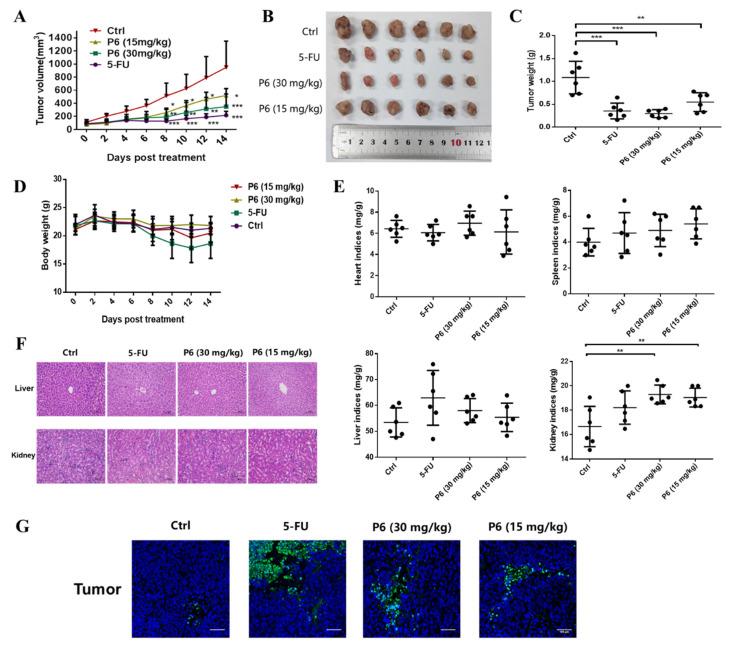 https://cdn.ncbi.nlm.nih.gov/pmc/blobs/4d9a/8875476/85b5ff699275/marinedrugs-20-00110-g007.jpg