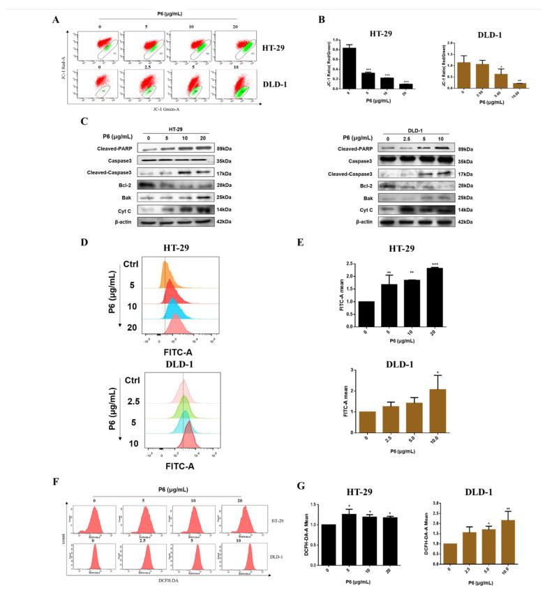 https://cdn.ncbi.nlm.nih.gov/pmc/blobs/4d9a/8875476/e6aa1b50470f/marinedrugs-20-00110-g005.jpg
