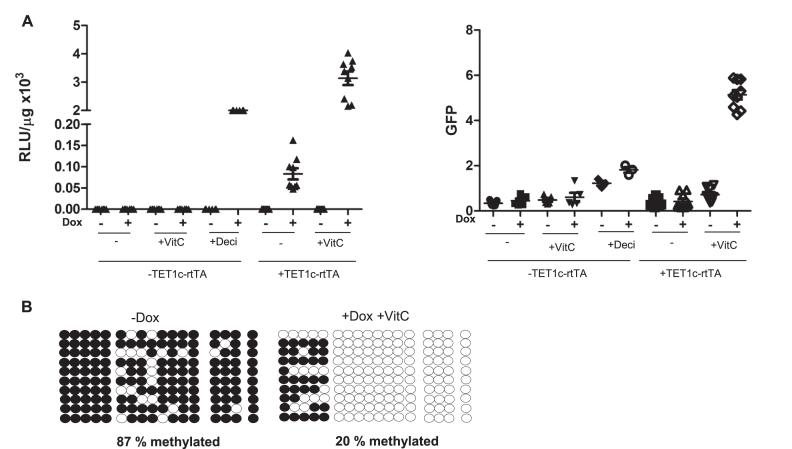 https://cdn.ncbi.nlm.nih.gov/pmc/blobs/4d9e/5766184/4091b438b899/gkx601fig3.jpg