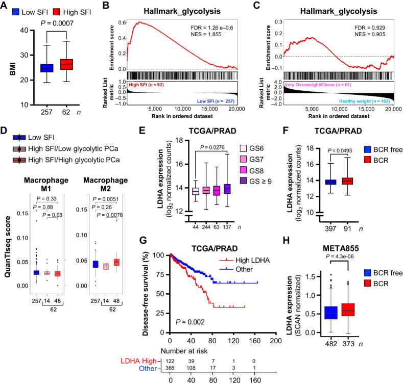 https://cdn.ncbi.nlm.nih.gov/pmc/blobs/4da1/11148549/bc3d1b10f357/1834fig7.jpg