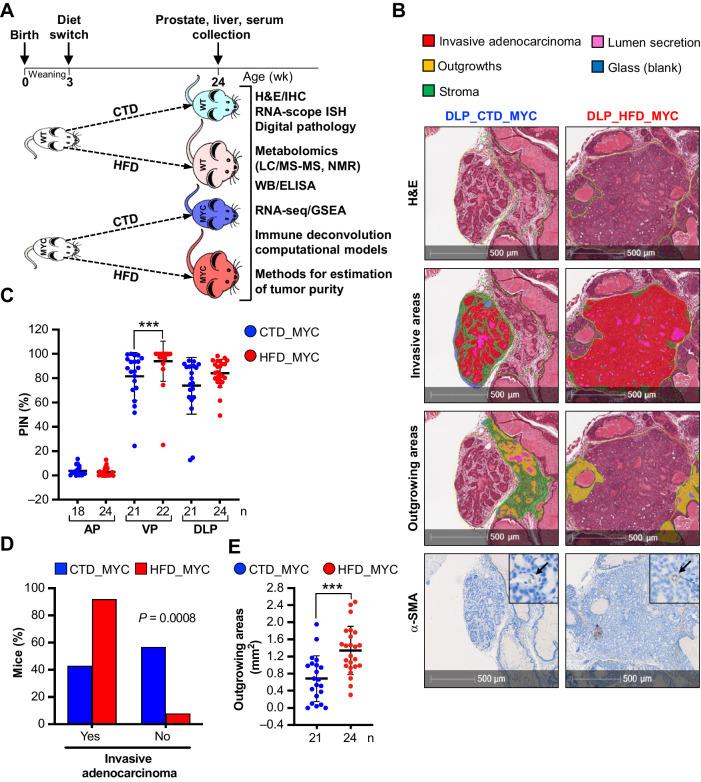 https://cdn.ncbi.nlm.nih.gov/pmc/blobs/4da1/11148549/f16ecc938809/1834fig1.jpg