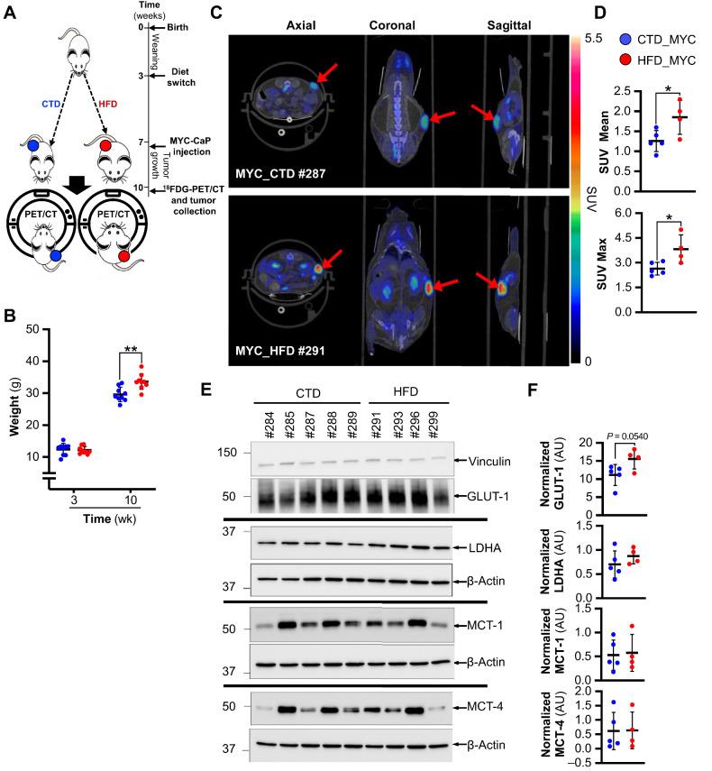 https://cdn.ncbi.nlm.nih.gov/pmc/blobs/4da1/11148549/f19842116c5e/1834fig4.jpg