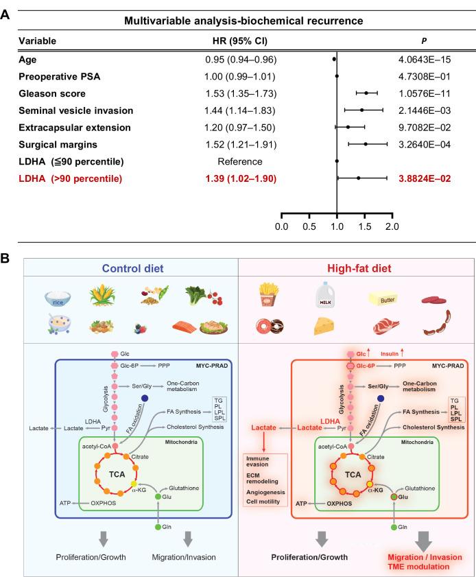 https://cdn.ncbi.nlm.nih.gov/pmc/blobs/4da1/11148549/f7cde323c119/1834fig8.jpg