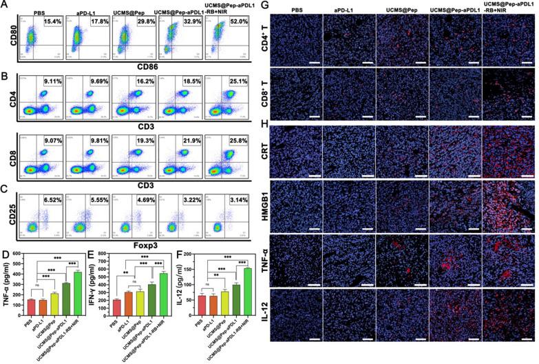 https://cdn.ncbi.nlm.nih.gov/pmc/blobs/4da2/8362242/07fa6dbaa117/12951_2021_975_Fig7_HTML.jpg