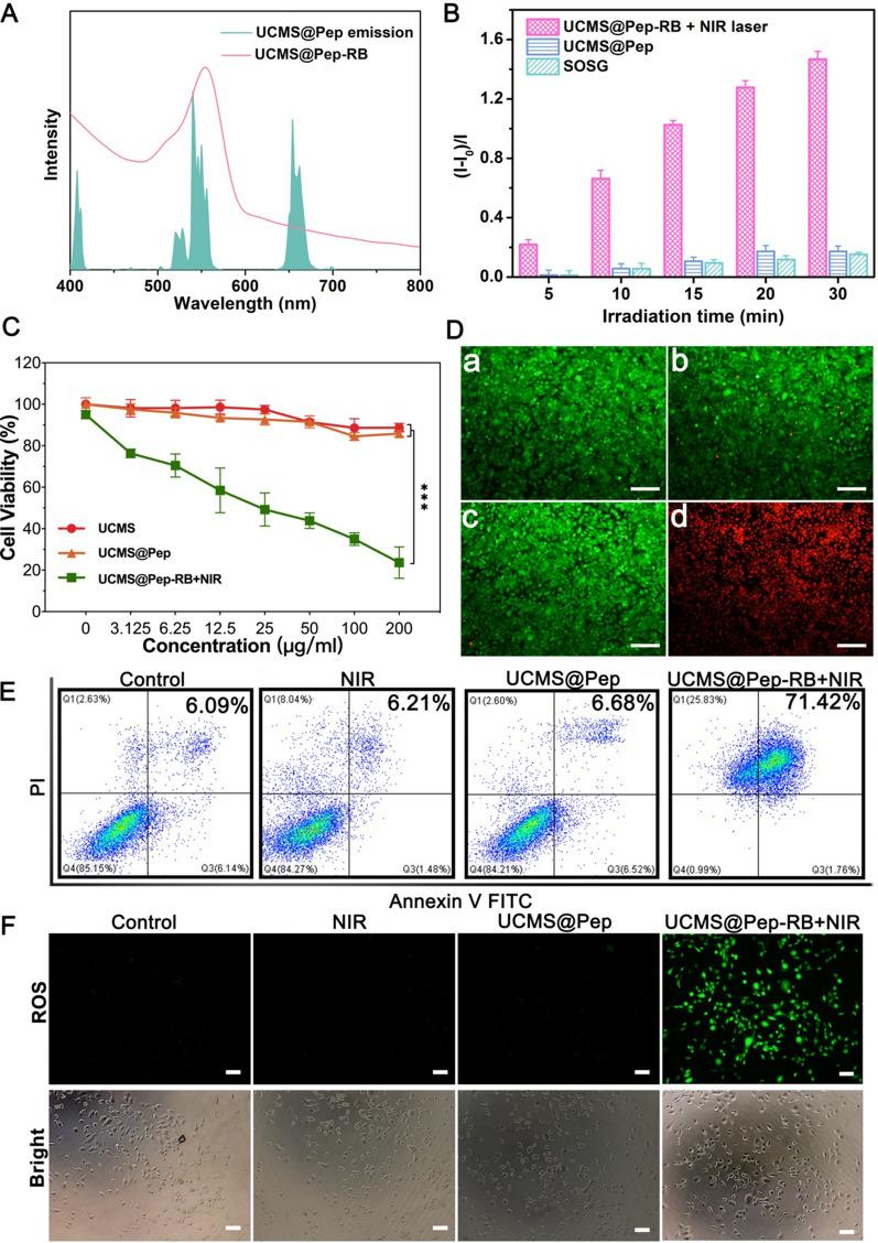 https://cdn.ncbi.nlm.nih.gov/pmc/blobs/4da2/8362242/747ce1de4a18/12951_2021_975_Fig3_HTML.jpg