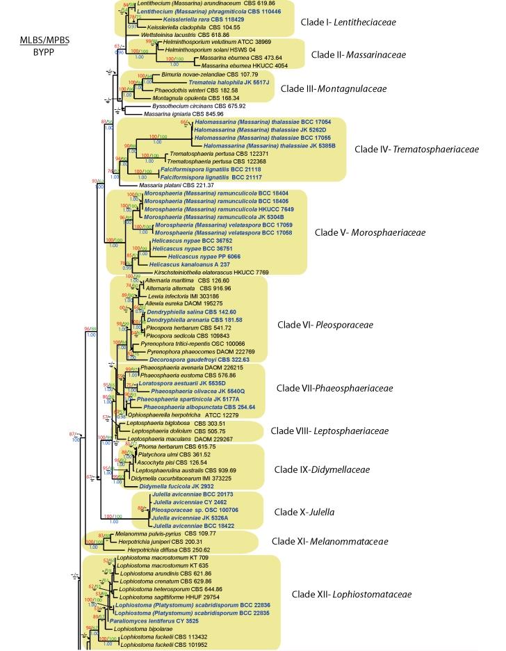 https://cdn.ncbi.nlm.nih.gov/pmc/blobs/4da3/2816972/222284276e5d/155fig1A.jpg