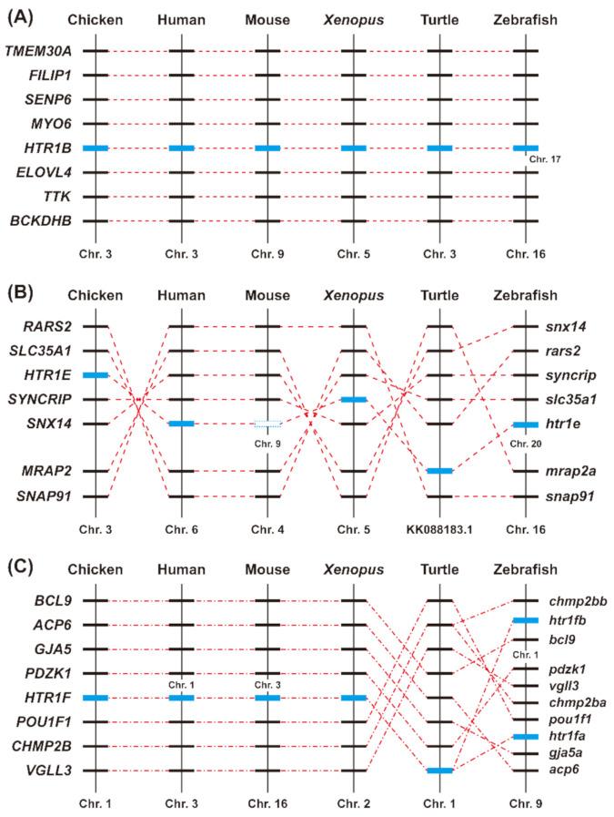 https://cdn.ncbi.nlm.nih.gov/pmc/blobs/4da3/8230051/2a275ae43d7b/genes-12-00891-g003.jpg