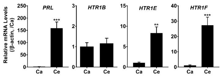 https://cdn.ncbi.nlm.nih.gov/pmc/blobs/4da3/8230051/3ed858e48e8d/genes-12-00891-g007.jpg