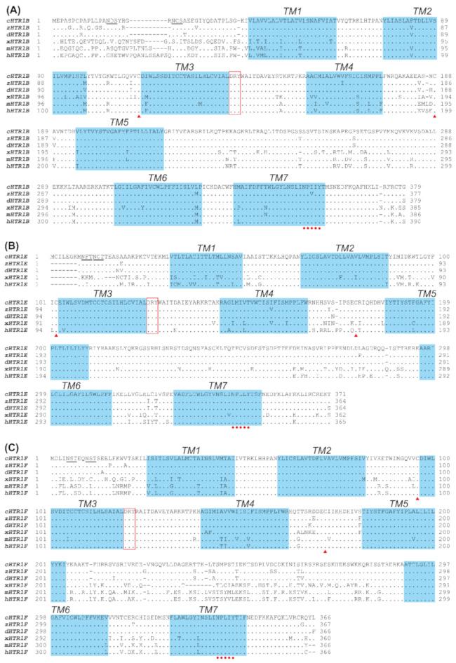 https://cdn.ncbi.nlm.nih.gov/pmc/blobs/4da3/8230051/b63954cf4297/genes-12-00891-g001.jpg