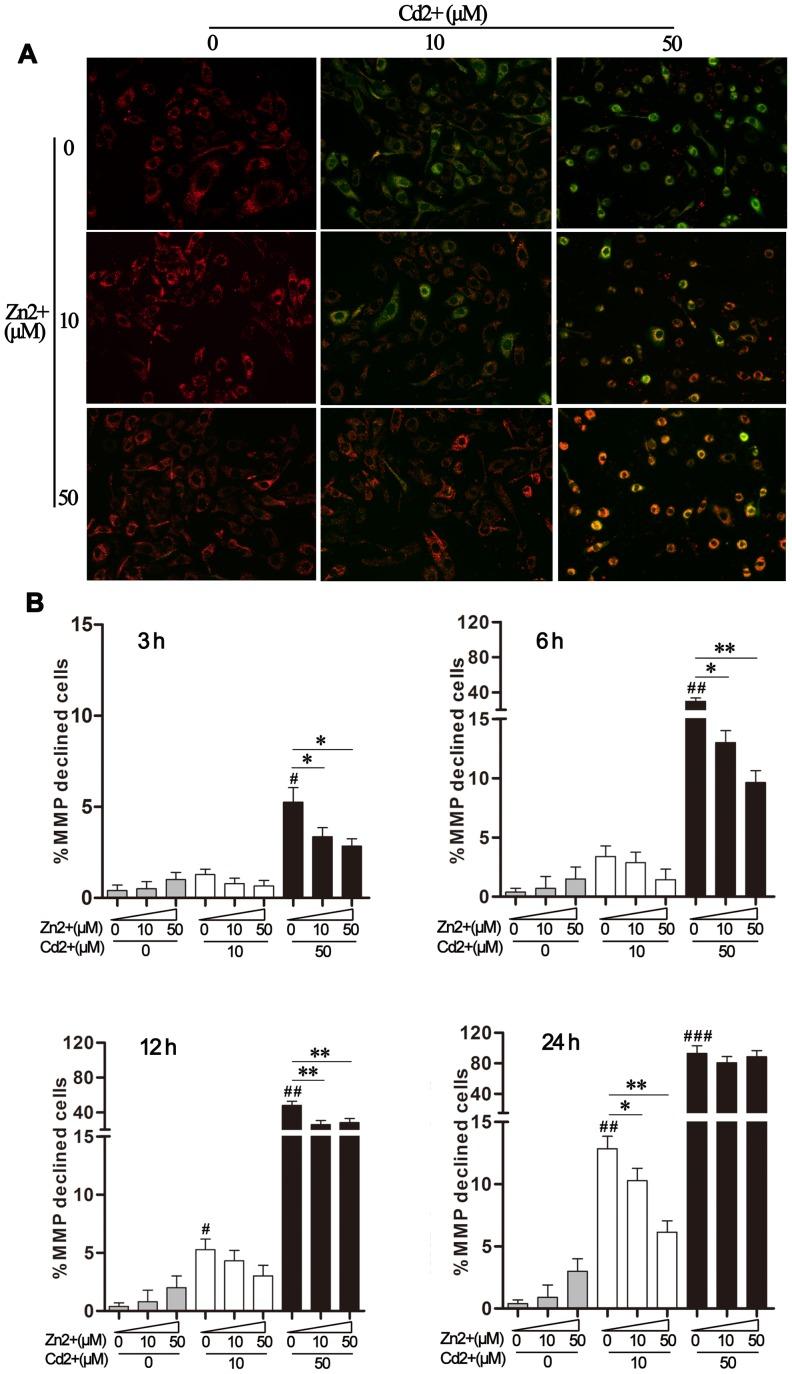 https://cdn.ncbi.nlm.nih.gov/pmc/blobs/4da4/4126686/95dee1a43406/pone.0103427.g003.jpg