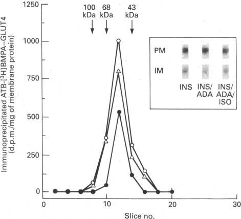 https://cdn.ncbi.nlm.nih.gov/pmc/blobs/4da6/1132118/e2279f402ba0/biochemj00123-0311-a.jpg