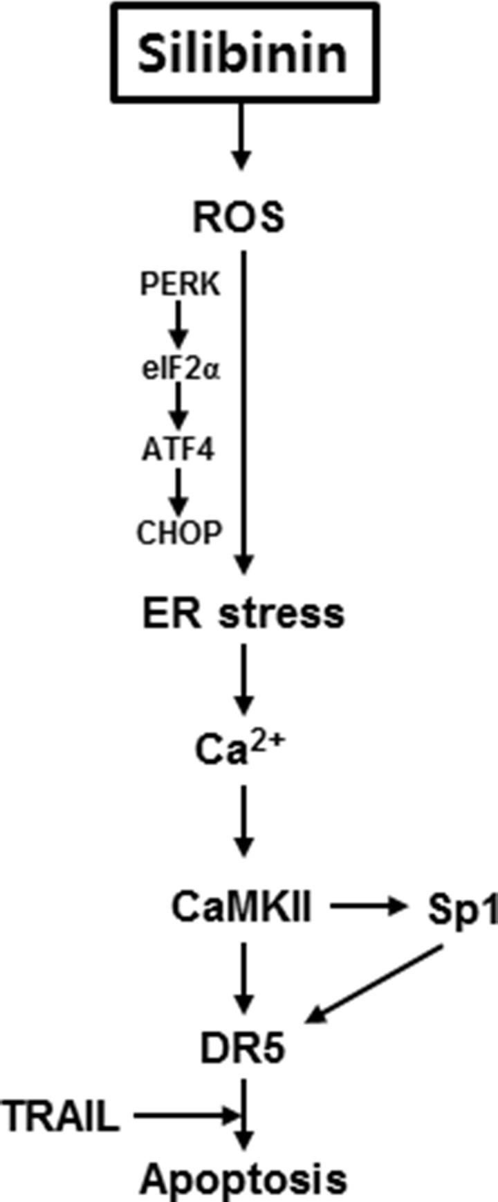 https://cdn.ncbi.nlm.nih.gov/pmc/blobs/4da6/5828202/0da8b375c4d3/oncotarget-09-10324-g010.jpg