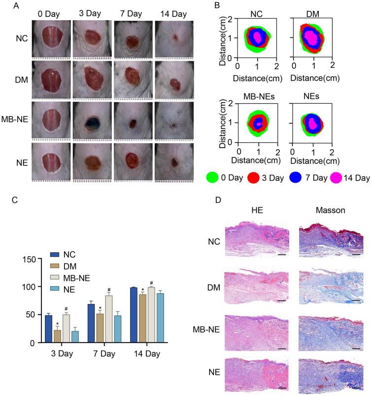 https://cdn.ncbi.nlm.nih.gov/pmc/blobs/4da7/10496548/0dfbf5eea059/IPHB_A_2254341_F0002_C.jpg
