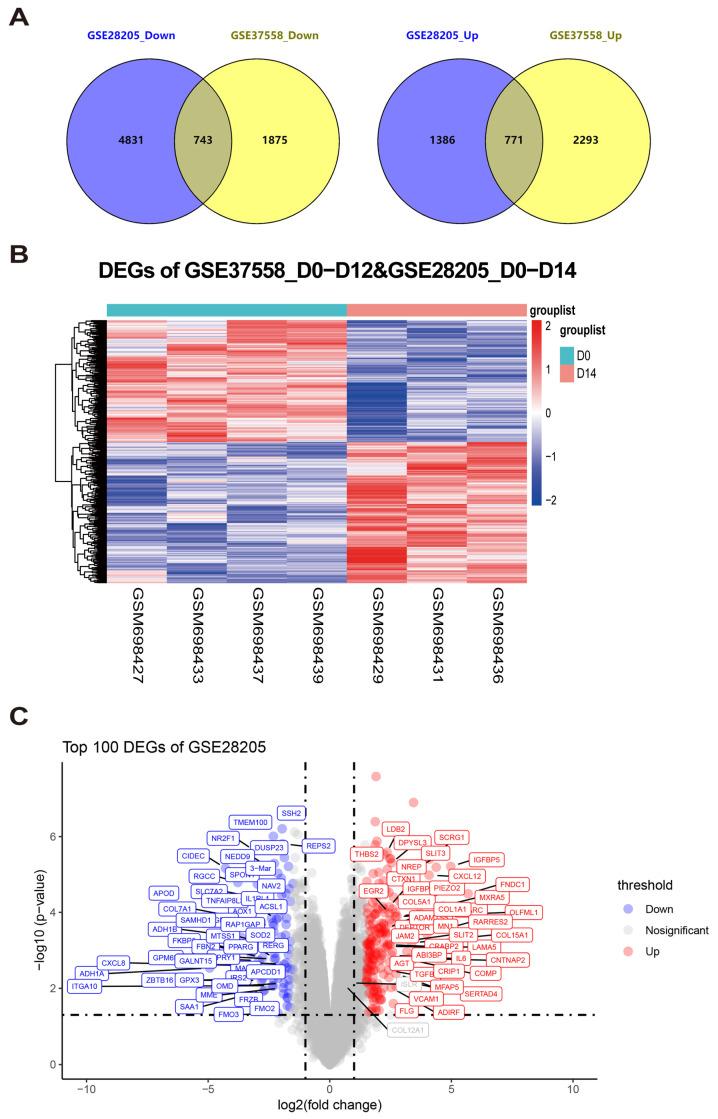 https://cdn.ncbi.nlm.nih.gov/pmc/blobs/4da9/11675713/350210c9e820/genes-15-01568-g001.jpg