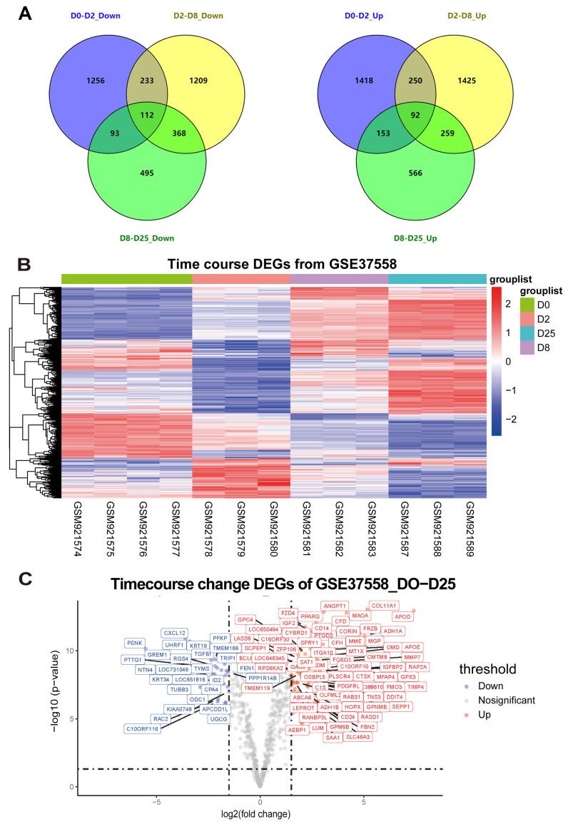 https://cdn.ncbi.nlm.nih.gov/pmc/blobs/4da9/11675713/b53759cb5c62/genes-15-01568-g002.jpg