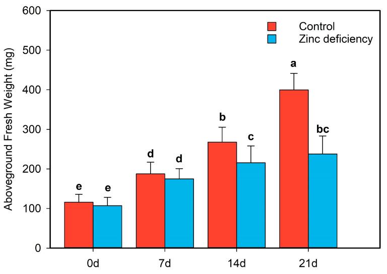 https://cdn.ncbi.nlm.nih.gov/pmc/blobs/4daf/10531140/348cfcff7309/ijms-24-13989-g002.jpg