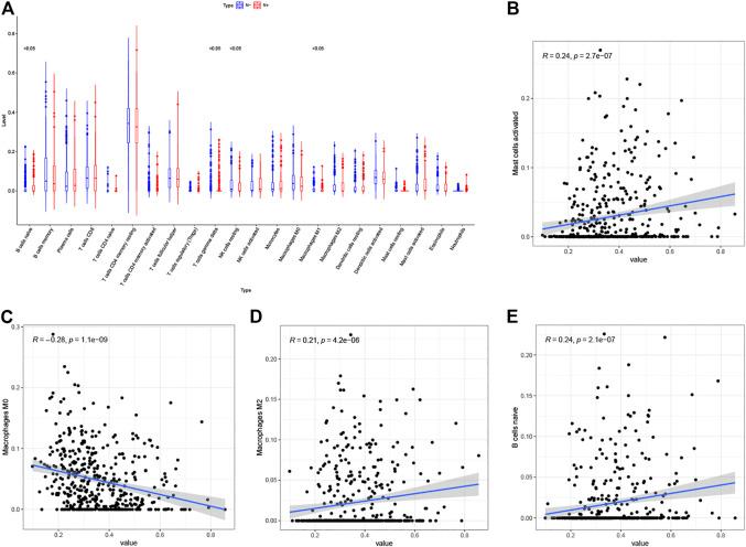 https://cdn.ncbi.nlm.nih.gov/pmc/blobs/4db0/8182055/00191bcd460d/fmolb-08-679031-g008.jpg