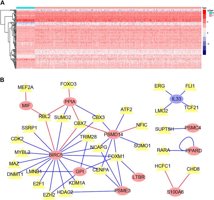 https://cdn.ncbi.nlm.nih.gov/pmc/blobs/4db0/8182055/6c88eb4b8e75/fmolb-08-679031-g004.jpg