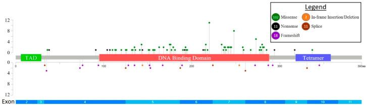https://cdn.ncbi.nlm.nih.gov/pmc/blobs/4db2/10296444/e4be798f45e2/cancers-15-03210-g001.jpg