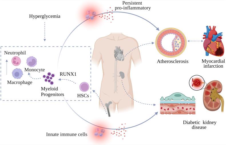 https://cdn.ncbi.nlm.nih.gov/pmc/blobs/4db2/12310616/70e04b1ec1bc/fimmu-16-1613602-g003.jpg