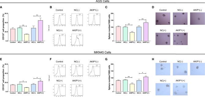 https://cdn.ncbi.nlm.nih.gov/pmc/blobs/4db8/8959465/4d078f33ed9a/fonc-11-798557-g003.jpg