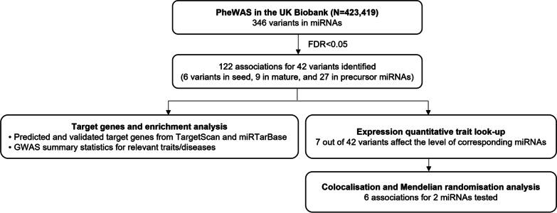 https://cdn.ncbi.nlm.nih.gov/pmc/blobs/4dba/10668386/8c34d0d1c832/40246_2023_553_Fig1_HTML.jpg
