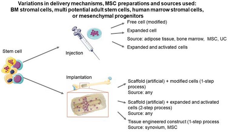 https://cdn.ncbi.nlm.nih.gov/pmc/blobs/4dbb/7170824/591917599cee/40520_2020_1515_Fig2_HTML.jpg