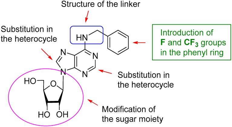 https://cdn.ncbi.nlm.nih.gov/pmc/blobs/4dbd/6152005/7ffd4cf8e794/molecules-22-01219-g001.jpg