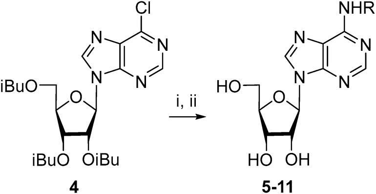https://cdn.ncbi.nlm.nih.gov/pmc/blobs/4dbd/6152005/ab22e94a8794/molecules-22-01219-sch001.jpg