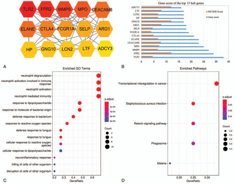 https://cdn.ncbi.nlm.nih.gov/pmc/blobs/4dbe/7870233/e37d64b88292/medi-100-e23207-g005.jpg