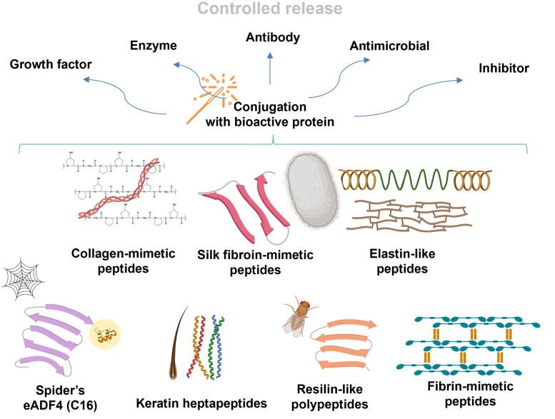 https://cdn.ncbi.nlm.nih.gov/pmc/blobs/4dbf/11721625/8235c7c9cc20/IDRD_A_2449703_F0001_C.jpg
