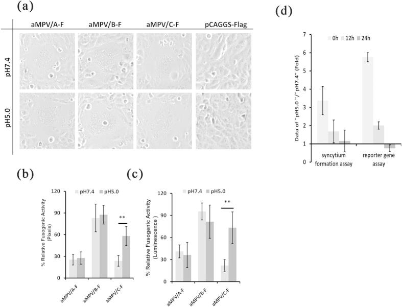https://cdn.ncbi.nlm.nih.gov/pmc/blobs/4dbf/4620442/39d38d576501/srep15584-f5.jpg
