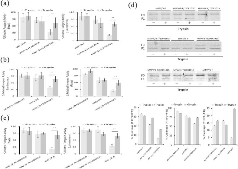 https://cdn.ncbi.nlm.nih.gov/pmc/blobs/4dbf/4620442/cb42fde9a971/srep15584-f4.jpg