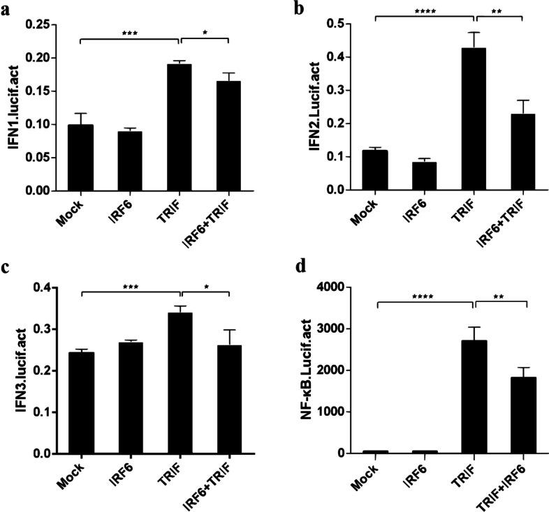 https://cdn.ncbi.nlm.nih.gov/pmc/blobs/4dbf/9743528/51b6cb344df1/12917_2022_3538_Fig8_HTML.jpg