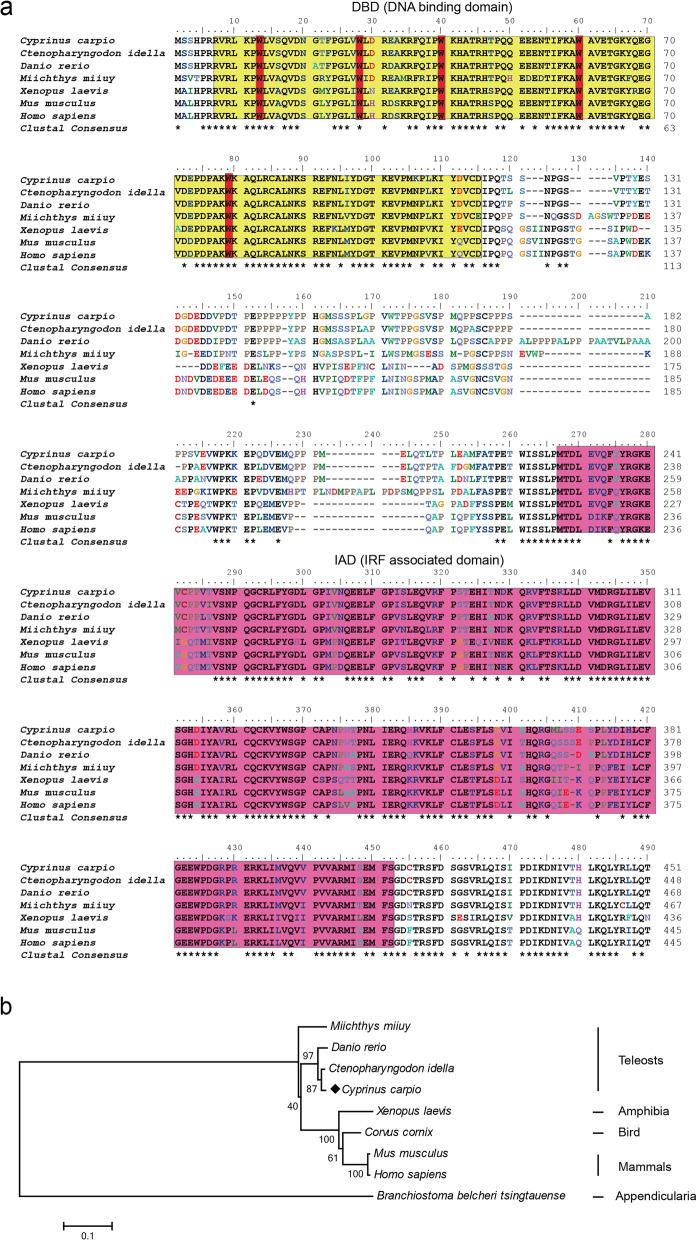 https://cdn.ncbi.nlm.nih.gov/pmc/blobs/4dbf/9743528/de00a26ba22d/12917_2022_3538_Fig1_HTML.jpg