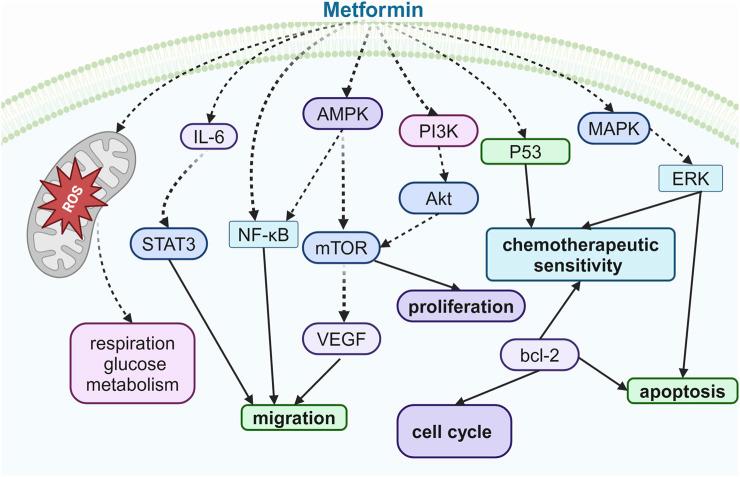 https://cdn.ncbi.nlm.nih.gov/pmc/blobs/4dc0/12052884/4d7831127f4a/fphar-16-1526709-g004.jpg
