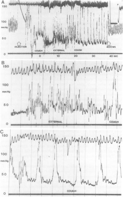 https://cdn.ncbi.nlm.nih.gov/pmc/blobs/4dc0/2441386/b094f3740895/tacca00106-0184-a.jpg