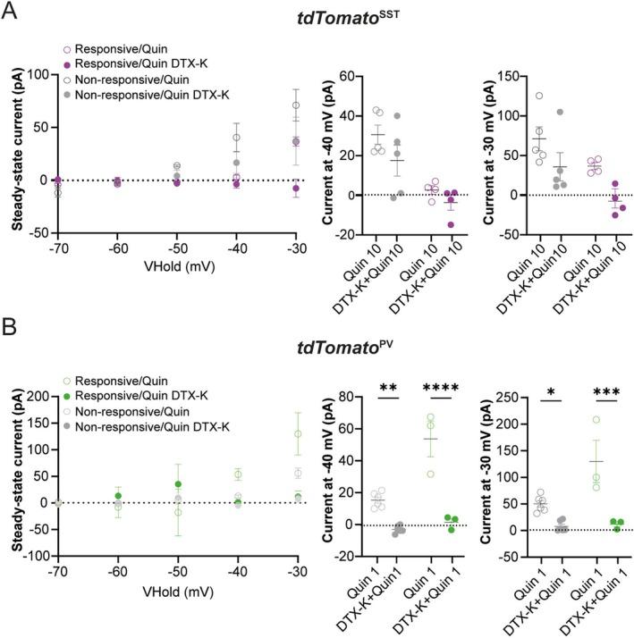 https://cdn.ncbi.nlm.nih.gov/pmc/blobs/4dc1/12256973/a7287d34e337/EJN-62-0-g008.jpg