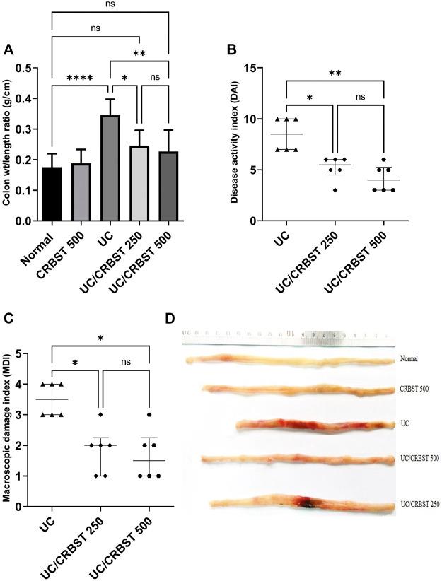 https://cdn.ncbi.nlm.nih.gov/pmc/blobs/4dc2/9214041/4f9a9e8add54/fphar-13-887233-g001.jpg
