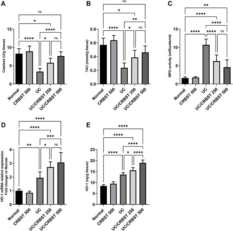 https://cdn.ncbi.nlm.nih.gov/pmc/blobs/4dc2/9214041/e4572602e1dd/fphar-13-887233-g003.jpg