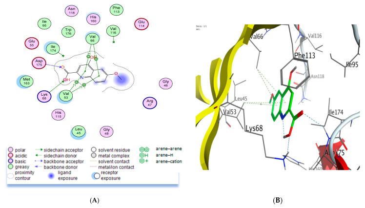 https://cdn.ncbi.nlm.nih.gov/pmc/blobs/4dc3/10780881/fc087038322a/molecules-29-00199-g004.jpg