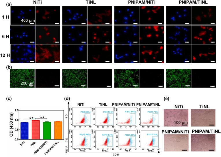 https://cdn.ncbi.nlm.nih.gov/pmc/blobs/4dc5/9130111/03bf3d026872/gr7.jpg
