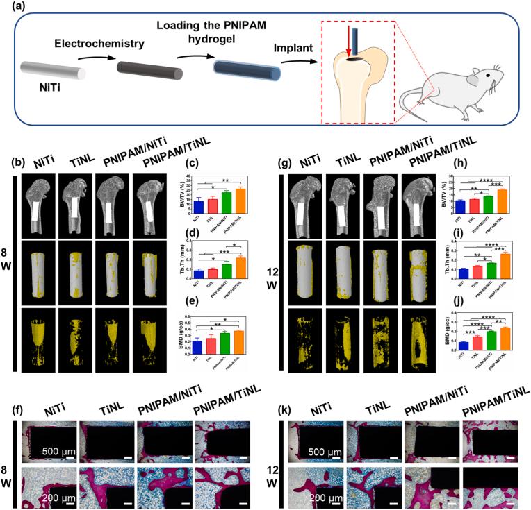 https://cdn.ncbi.nlm.nih.gov/pmc/blobs/4dc5/9130111/863202854872/gr8.jpg