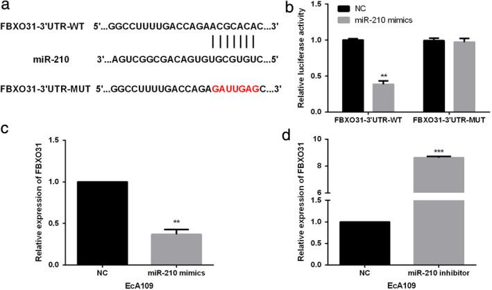 https://cdn.ncbi.nlm.nih.gov/pmc/blobs/4dc7/7952796/28838effafb6/TCA-12-932-g004.jpg