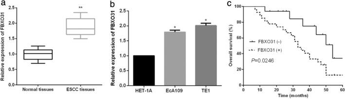 https://cdn.ncbi.nlm.nih.gov/pmc/blobs/4dc7/7952796/4d4dc0f30841/TCA-12-932-g003.jpg